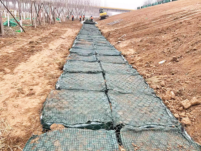 Pvc-coated gabion mesh Landscape  slope protection